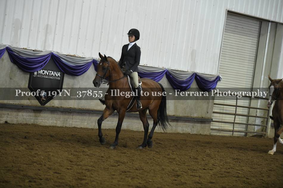 Proof Number 19YN_37855
