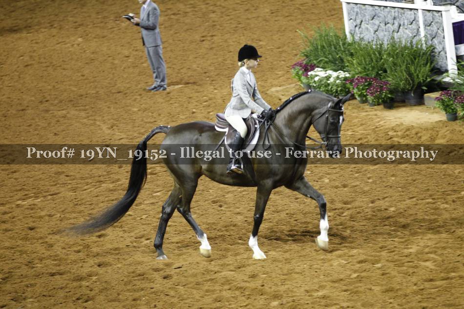 Proof Number 19YN_19152