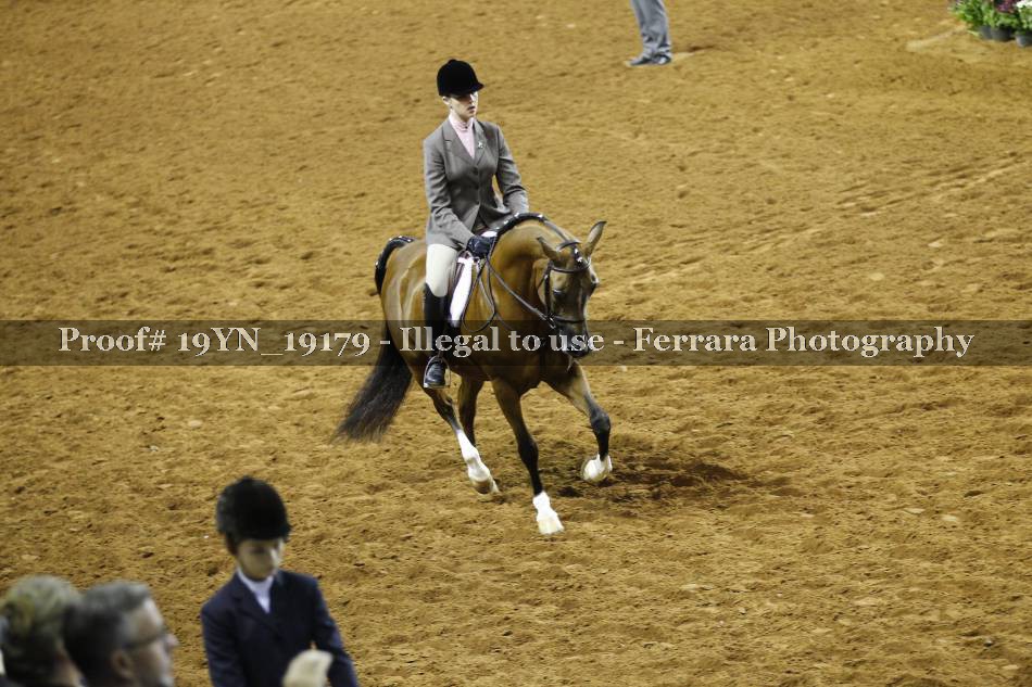 Proof Number 19YN_19179
