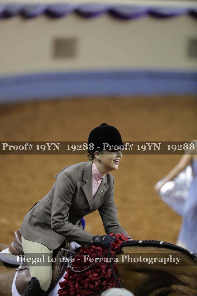 Proof Number 19YN_19288