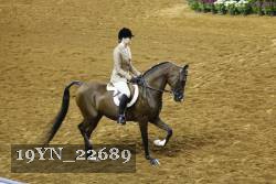 19YN_22689 thumbnail