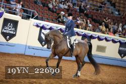 19YN_22690 thumbnail