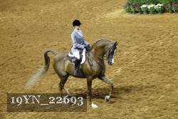 19YN_22693 thumbnail