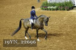 19YN_22696 thumbnail