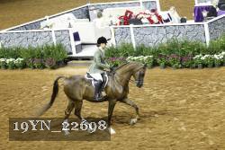 19YN_22698 thumbnail