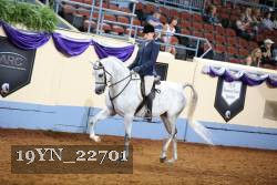 19YN_22701 thumbnail