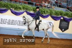 19YN_22702 thumbnail