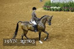 19YN_22703 thumbnail