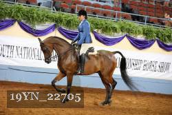19YN_22705 thumbnail