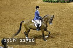19YN_22706 thumbnail