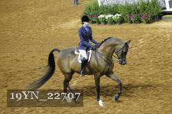 19YN_22707 thumbnail
