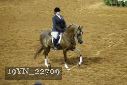 19YN_22709 thumbnail