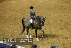 19YN_22711 thumbnail
