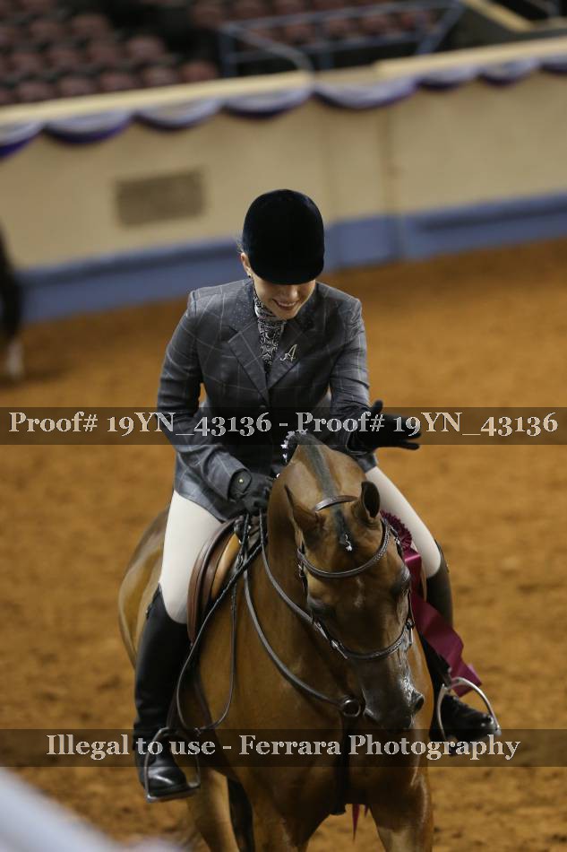 Proof Number 19YN_43136