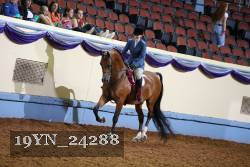 19YN_24288 thumbnail