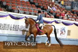 19YN_24291 thumbnail