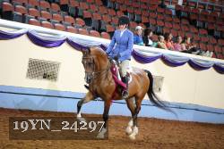 19YN_24297 thumbnail