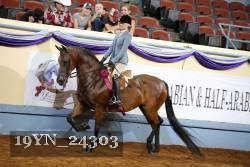 19YN_24303 thumbnail