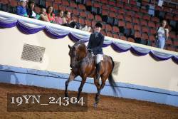 19YN_24304 thumbnail