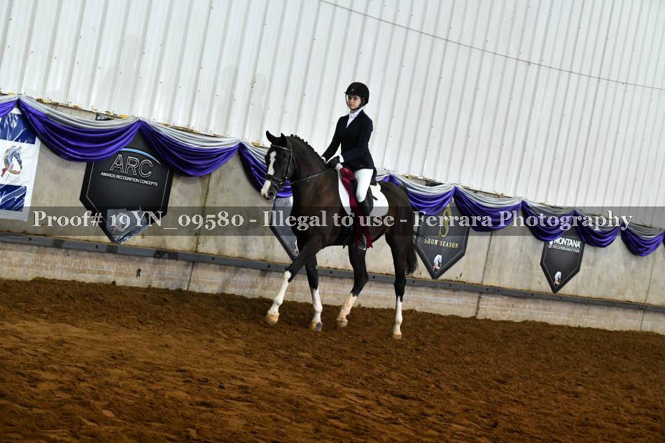 Proof Number 19YN_09580
