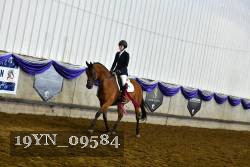 19YN_09584 thumbnail