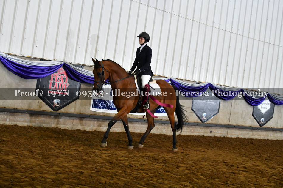 Proof Number 19YN_09585