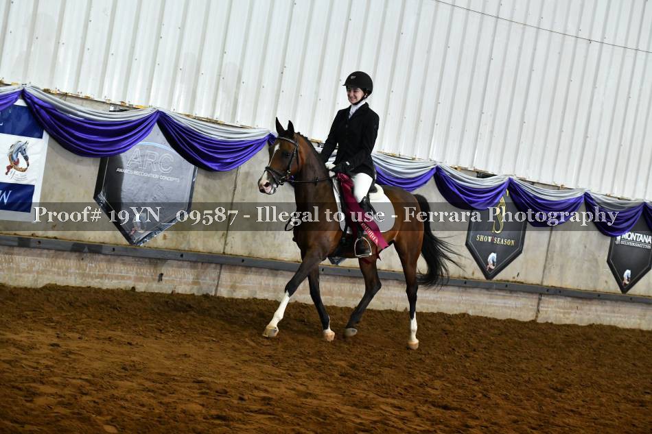Proof Number 19YN_09587