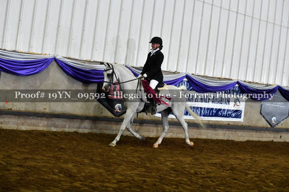 Proof Number 19YN_09592