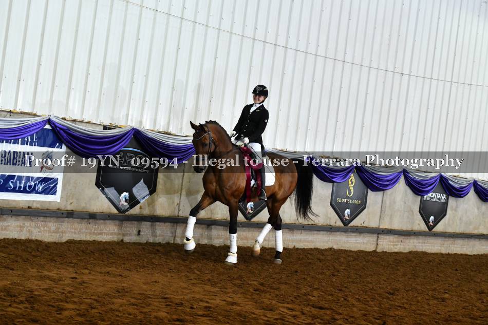 Proof Number 19YN_09594