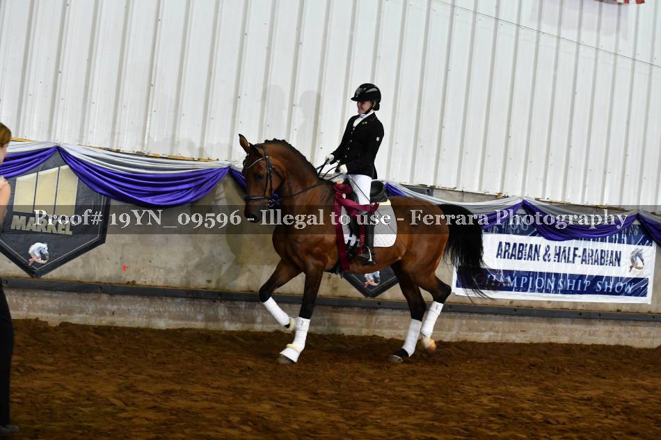 Proof Number 19YN_09596