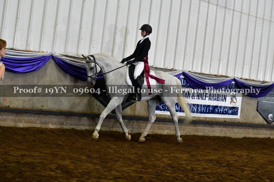 Proof Number 19YN_09604