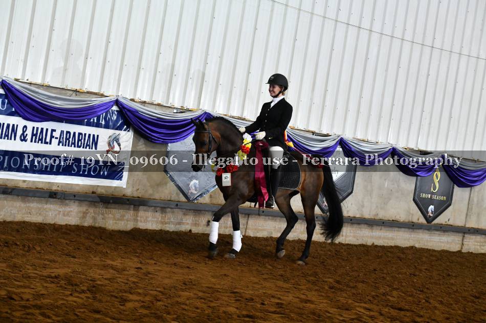 Proof Number 19YN_09606