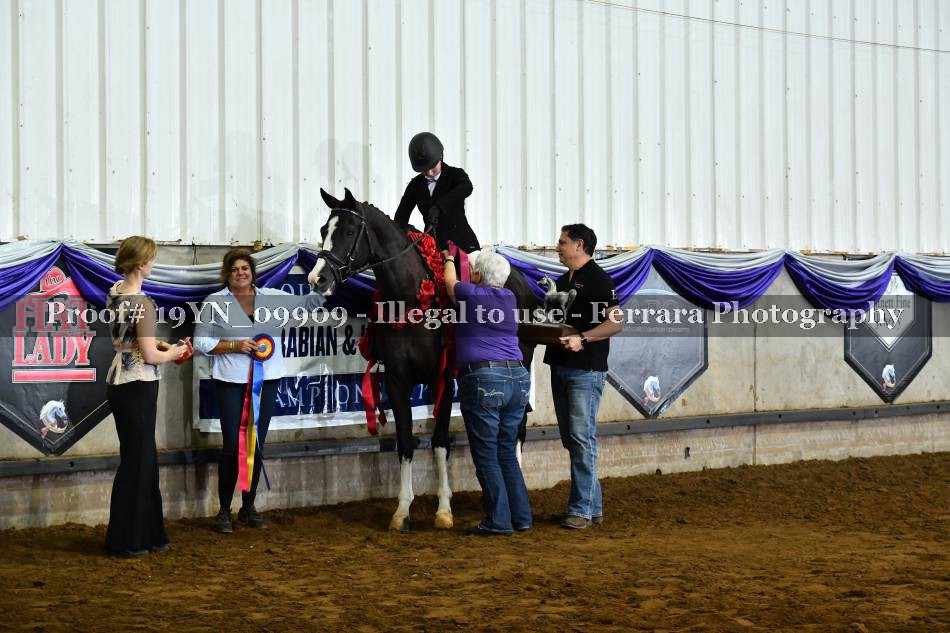 Proof Number 19YN_09909