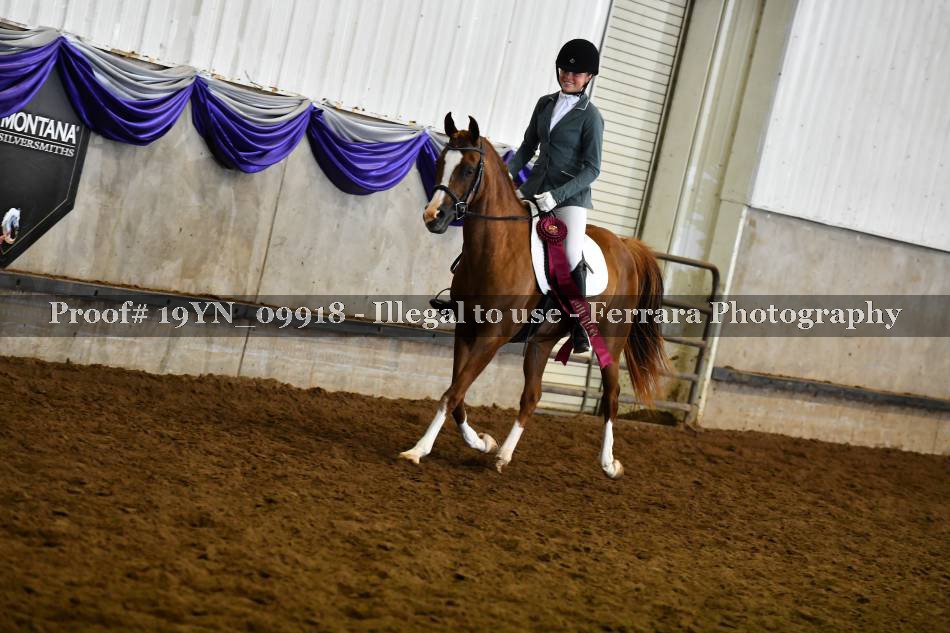 Proof Number 19YN_09918