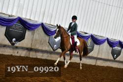 19YN_09920 thumbnail