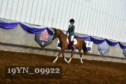 19YN_09922 thumbnail