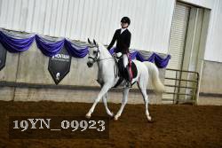 19YN_09923 thumbnail
