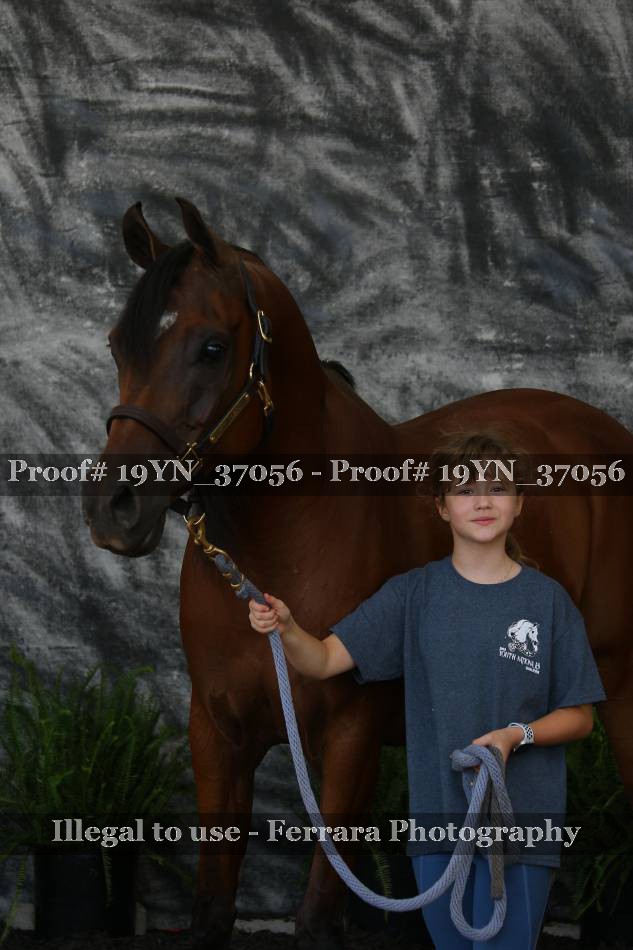 Proof Number 19YN_37056