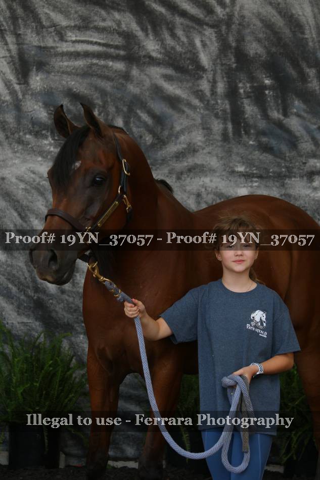 Proof Number 19YN_37057