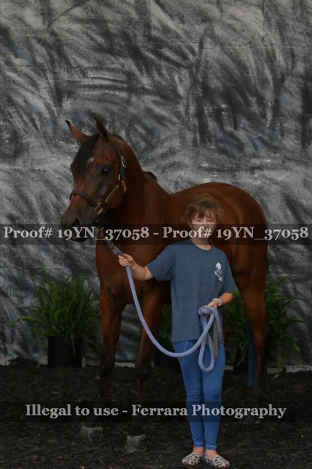 Proof Number 19YN_37058