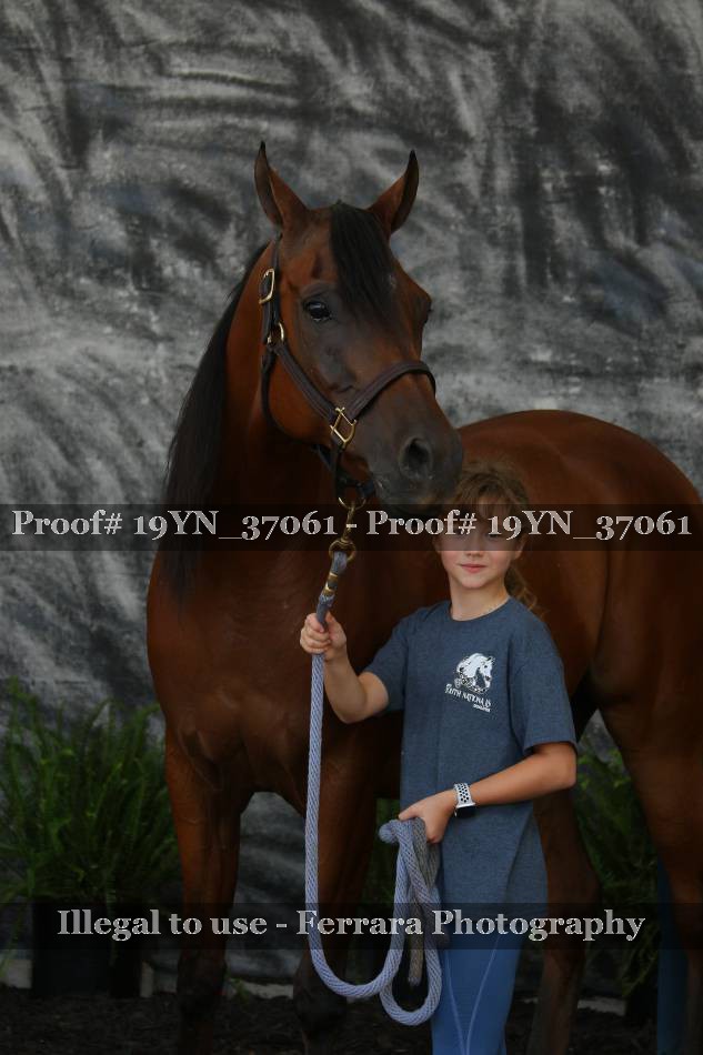 Proof Number 19YN_37061