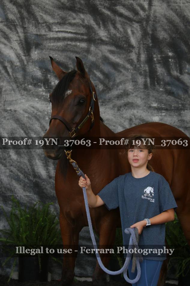 Proof Number 19YN_37063