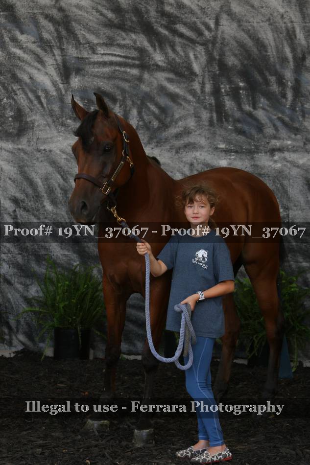 Proof Number 19YN_37067