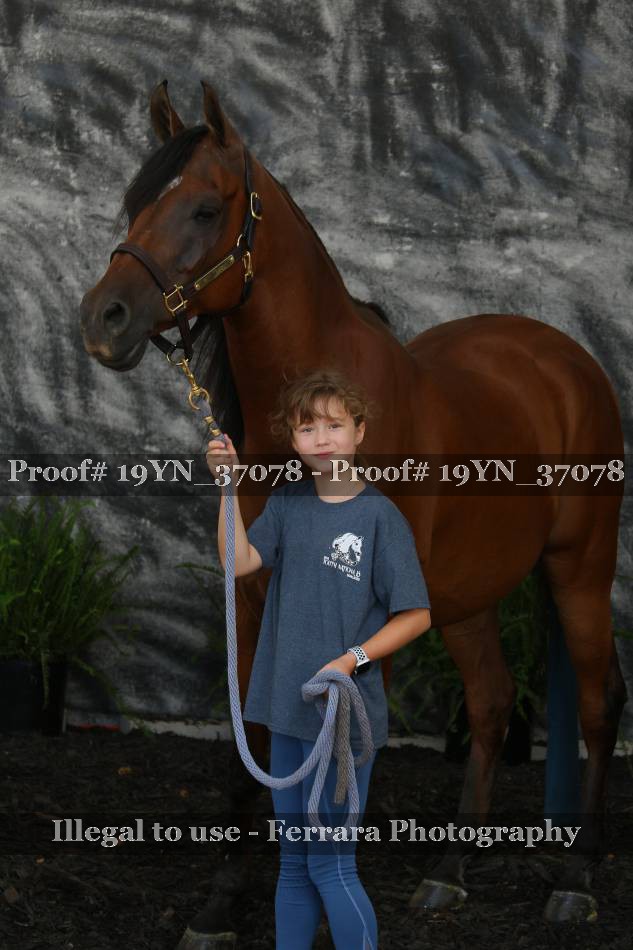 Proof Number 19YN_37078