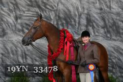 19YN_33478 thumbnail