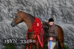 19YN_33480 thumbnail