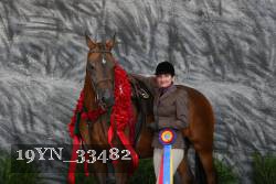 19YN_33482 thumbnail