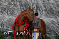 19YN_33483 thumbnail