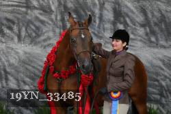 19YN_33485 thumbnail