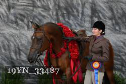 19YN_33487 thumbnail